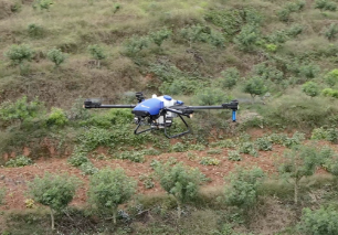 Lada Sichuan 10% Peningkatan Produksi Menggunakan Drone Pertanian EAVISION
