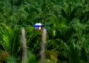 Drone Pertanian Tiongkok, Pergi Ke Asia Tenggara Untuk Menyemprot!
