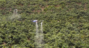 Pemasok Bahan Pertanian di Distrik Pohon Buah Berubah Menjadi Layanan Drone Pertanian
