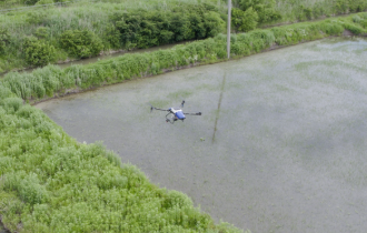 Heilongjiang | Penyemprotan Drone Padi Membuka Era Baru Pertanian

