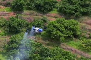 Menyemprot Pohon Buah Dengan Drone, Akankah Ini Menjadi Terobosan Baru Untuk Drone Pertanian EAVISION?
