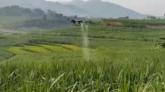 EAVISION Drone Pertanian Kontrol Efisien Hama dan Penyakit Musim Panas
