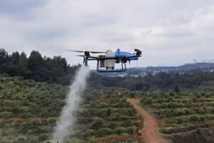 pohon buah berbukit hunan menggunakan drone untuk perlindungan tanaman
