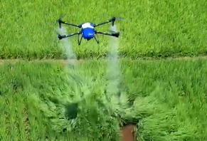 Drone Pertanian Presisi Tinggi Menyemprot Sawah Dengan Pembasmi Serangga
