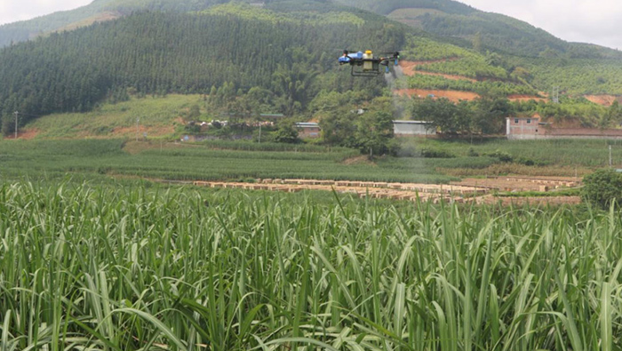 Drone pertanian cerdas EAvision memiliki efek luar biasa pada pencegahan terbang tebu!