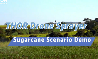 THOR Drone Sprayer untuk Demo Skenario Tebu （Brasil）